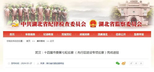 武漢市委巡察完成進駐 已有2人被查鳳凰網湖北 鳳凰網