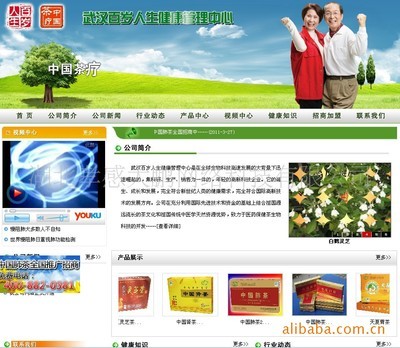 【企業網站建設,找孝感網絡公司,大鵬網絡】價格,廠家,圖片,互聯網服務,湖北孝感大鵬網絡科技-