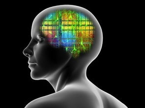 網(wǎng)絡(luò)科技類企業(yè)計(jì)算機(jī)及輔助設(shè)備稅收籌劃方案